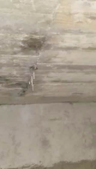 台南善化區出租套房浴室天花板漏水都出現鐘乳石了2