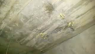台南善化區出租套房浴室天花板漏水都出現鐘乳石了4
